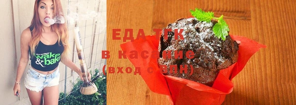 гашик Ветлуга