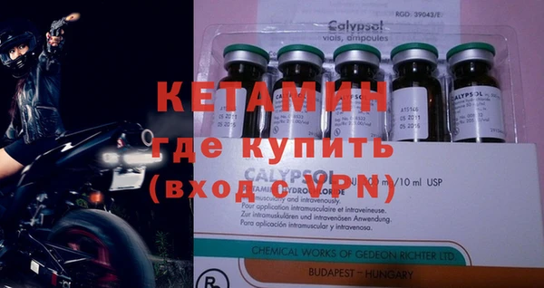 шишки Бородино