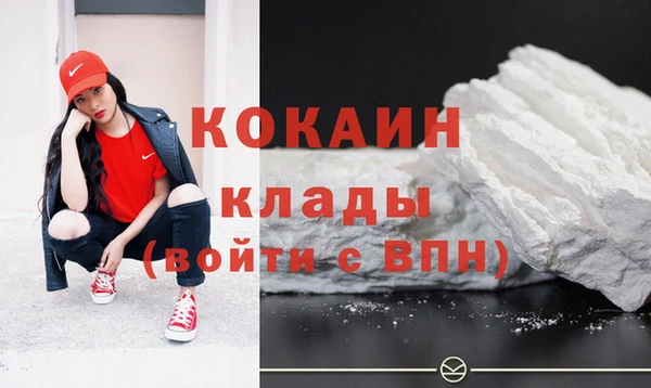 гашик Ветлуга
